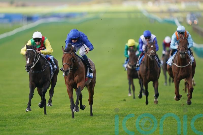 Flying Honours lands Zetland with gritty display