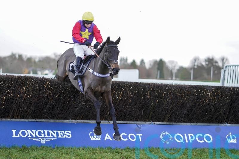 Chase and hurdles options open for Dashel Drasher