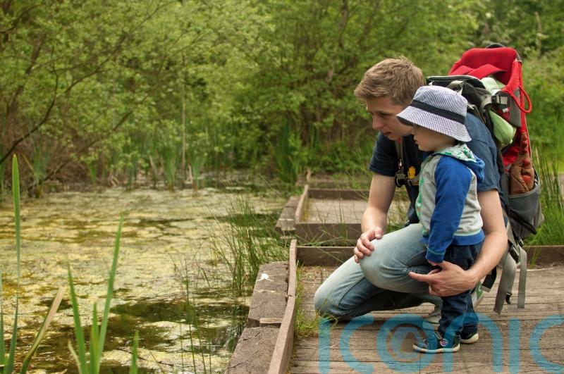 Autumn walks to help kids become interested in nature