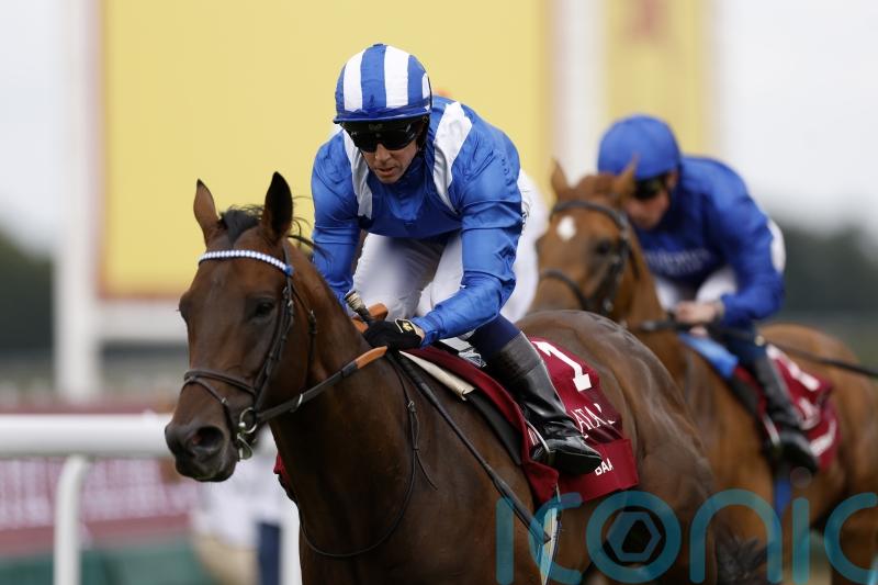 Baaeed’s younger sibling to be out this year