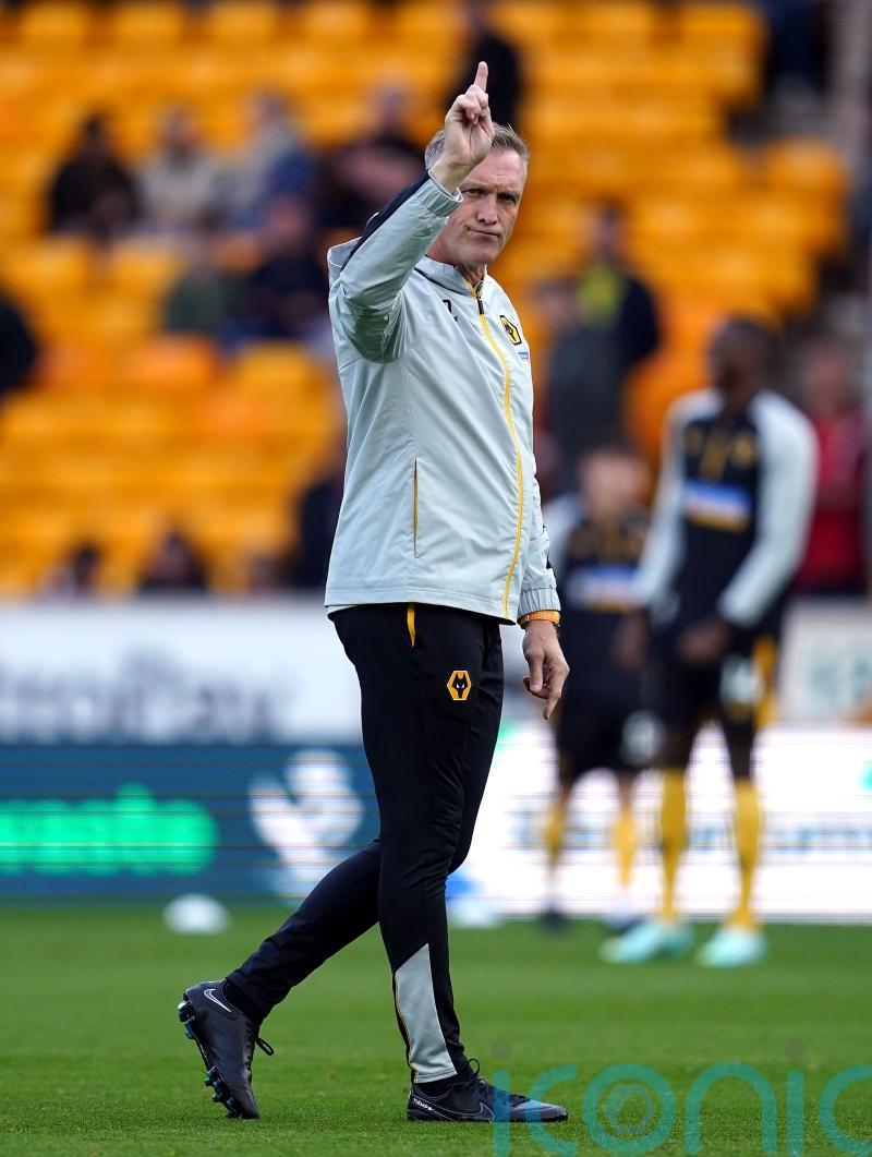 Wolves interim boss Steve Davis taking spell in charge one game at a time