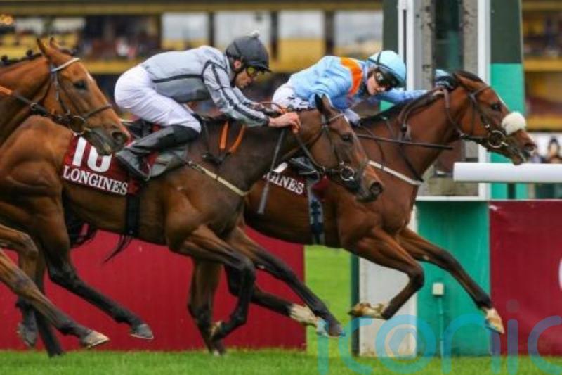 Hollie Doyle to maintain partnership with The Platinum Queen in America