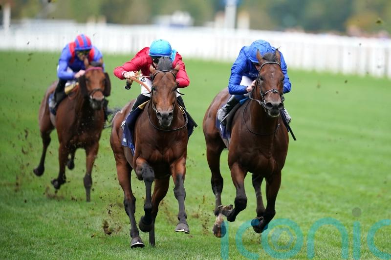 Appleby sets out 10-furlong ambition for Adayar next year