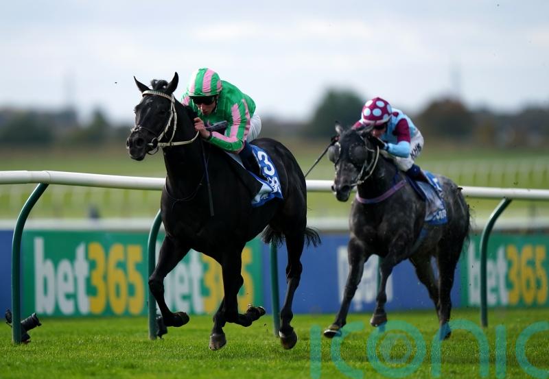 ‘All systems go’ – Hills has Breeders’ Cup target for Pogo