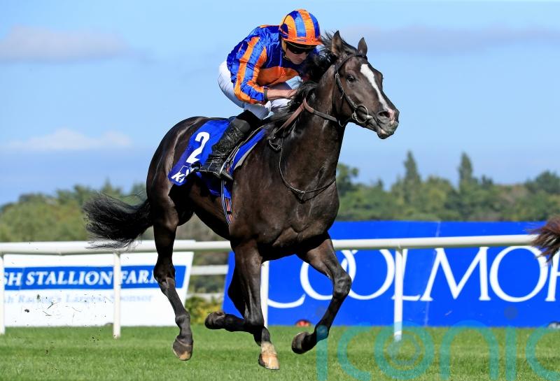 Auguste Rodin tops Futurity Trophy field for O’Brien
