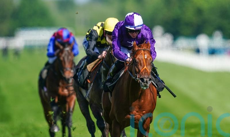 Hannon rates Persian Force as ‘best chance so far’ of Breeders’ Cup glory