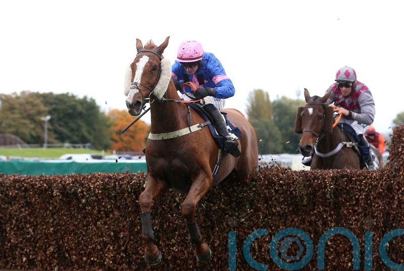 Dingo Dollar cashes in at Aintree with veterans’ victory