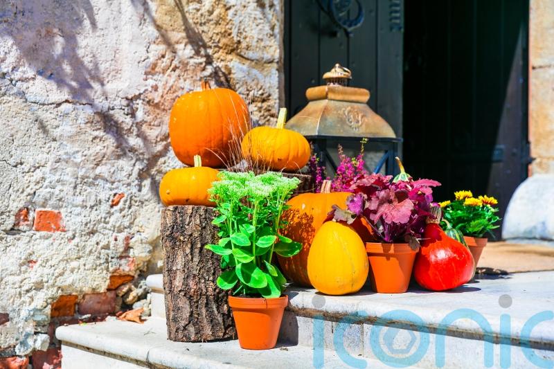 How to make the most of your Halloween pumpkin, so it doesn’t go to waste