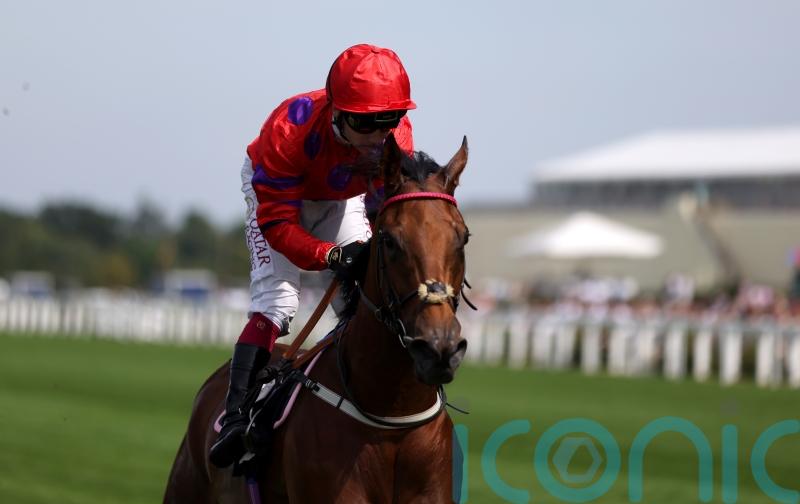 Walker keen on Dreamloper’s Breeders’ Cup claims