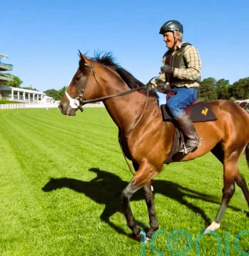 Ward sights set on Breeders’ Cup hat-trick for Golden Pal