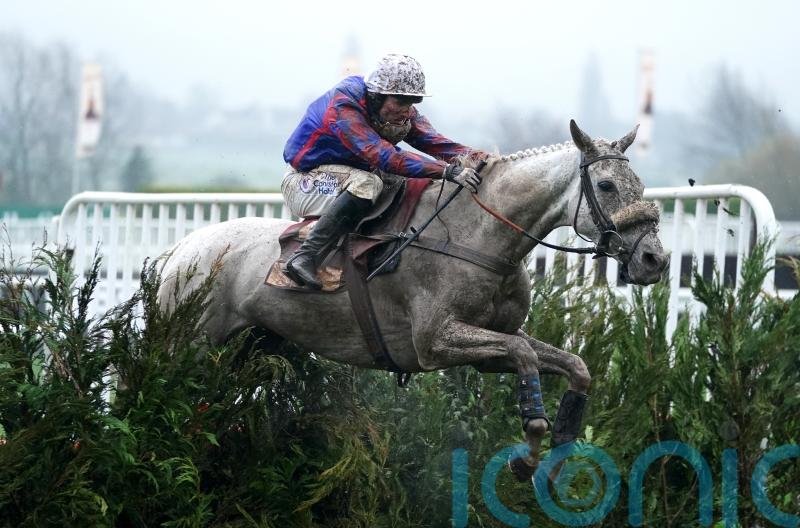 Bandey hoping to return Diesel D’Allier at the November meeting