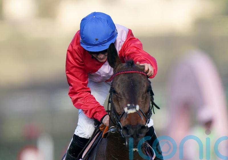 A Plus Tard stars in six entries for Betfair Chase