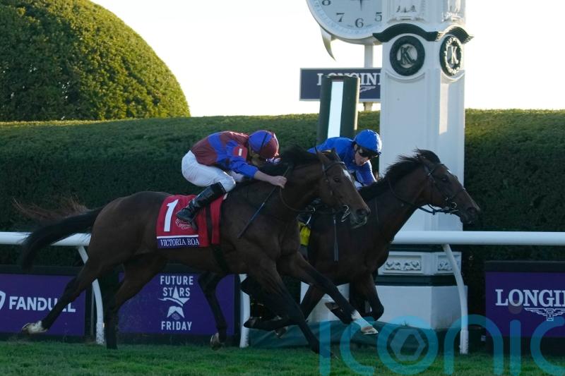Victoria Road grabs dramatic Juvenile Turf verdict