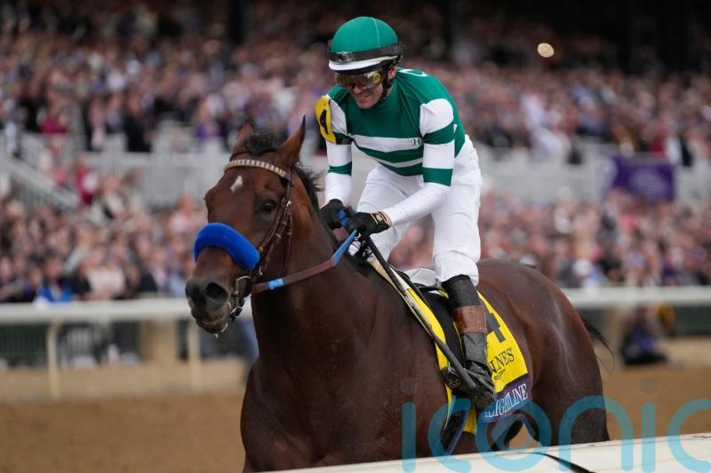 Flightline absolutely spectacular in Breeders’ Cup Classic
