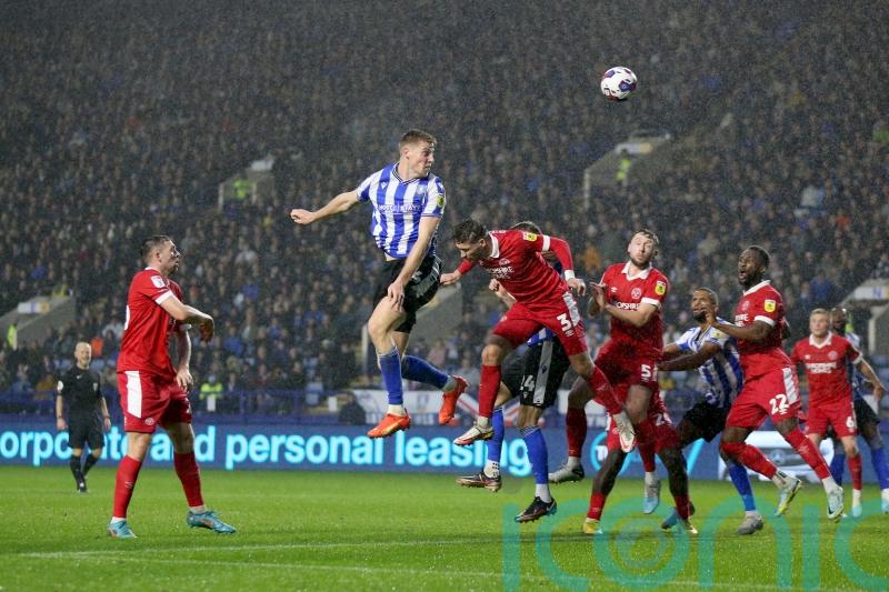 Mark McGuinness heads home winner as high-flying Owls defeat Shrewsbury