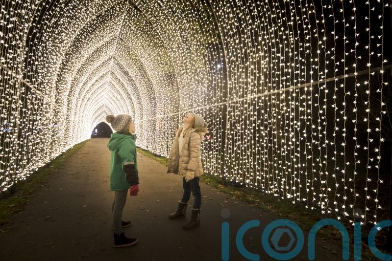 Festive garden events to get you into the Christmas spirit