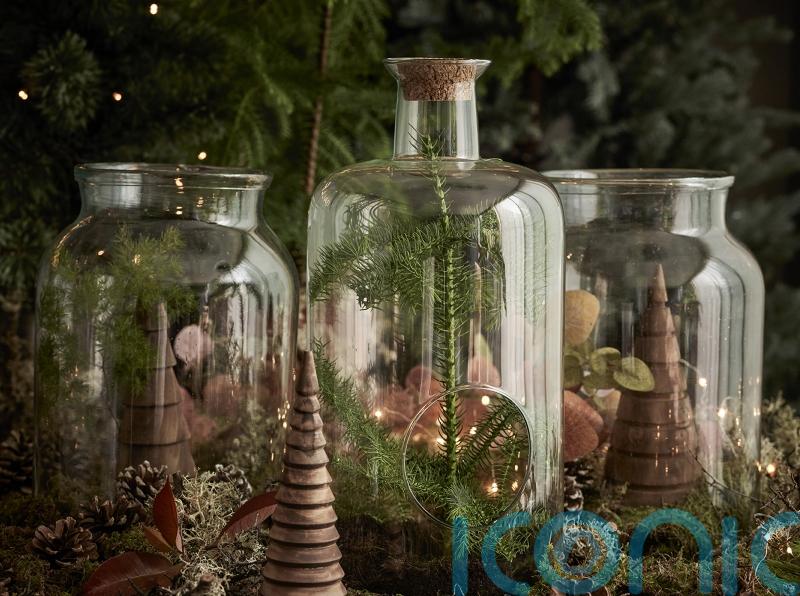 Make your own festive terrarium without spending a fortune
