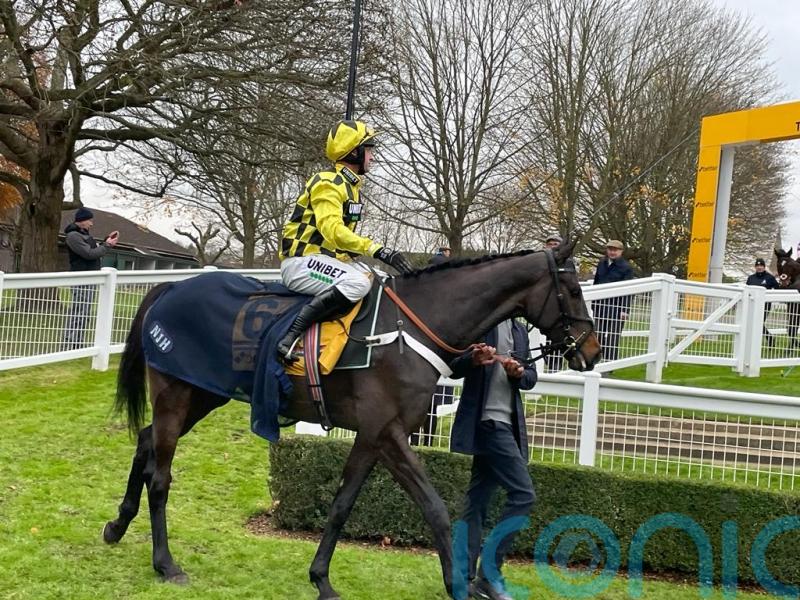 Henderson will step Shishkin up in trip after Tingle Creek reverse