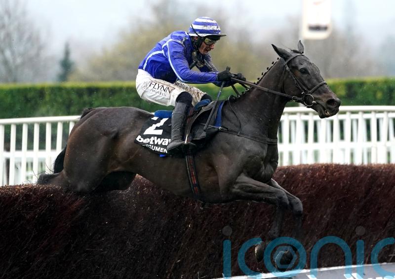 Cork card gets the go-ahead for Energumene return