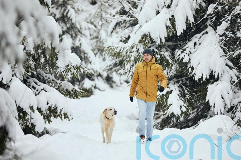 How to dress in arctic weather