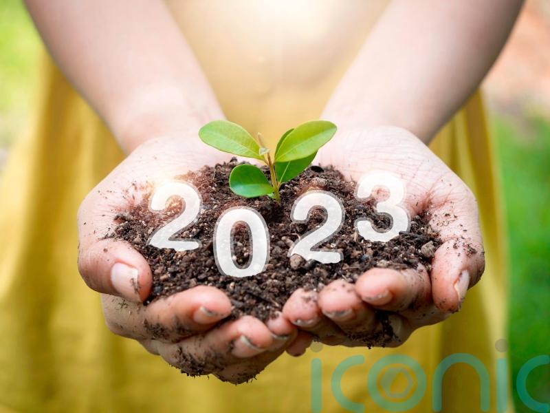 Gardening trends for 2023 – experts make their predictions