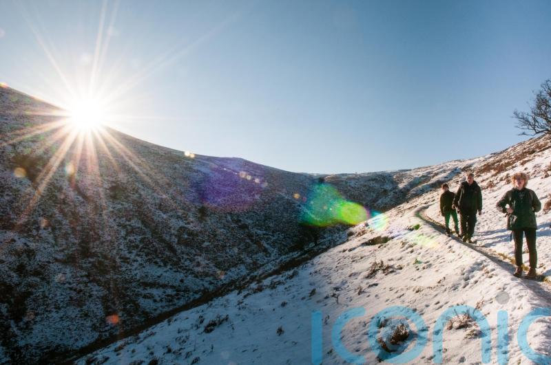 7 joy-filled things every Boxing Day should include