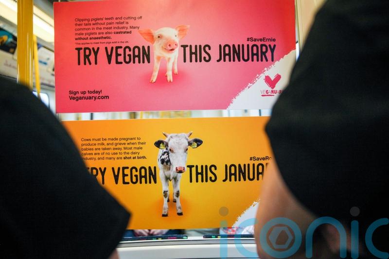 Is Veganuary even affordable this year? 7 cost-cutting tips