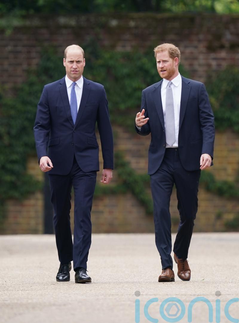 Harry left with ‘bruises’ after William’s alleged assault: How to deal with severe sibling conflict