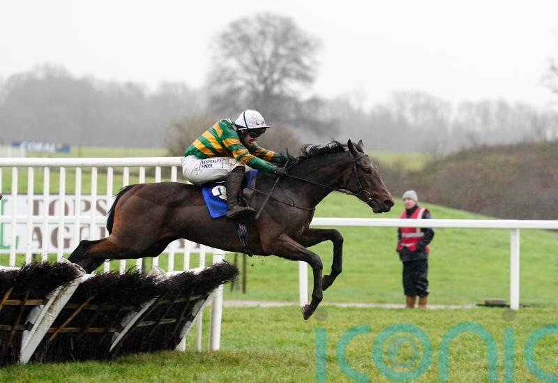 Comfort Zone possible for Leopardstown ahead of Cheltenham challenge