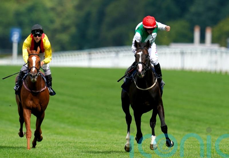 Winter Derby-bound Pyledriver still Dwyer’s ride when he returns from injury