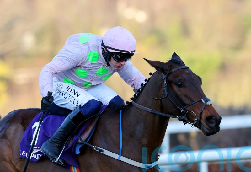 Gaelic Warrior has ‘serious engine’ and exciting ambitions at Cheltenham