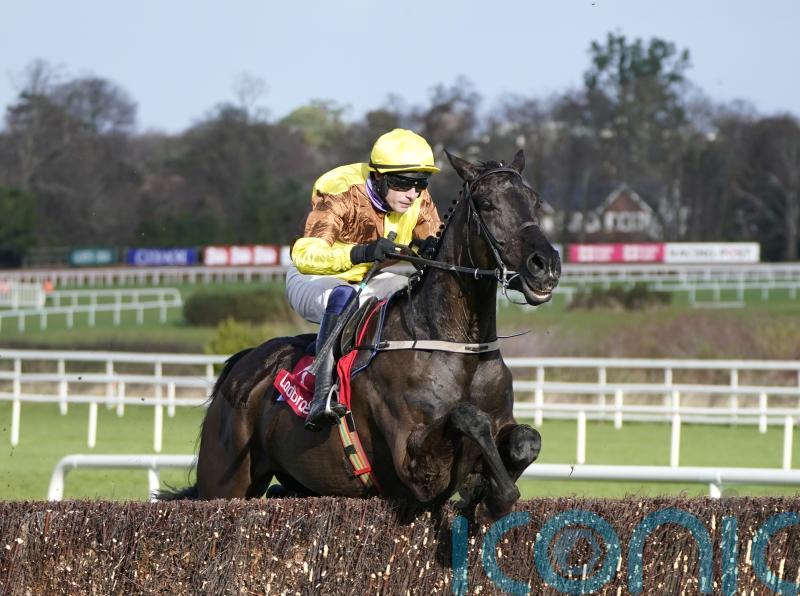 Scudamore happy to tackle ‘vastly impressive’ Galopin with Ahoy Senor