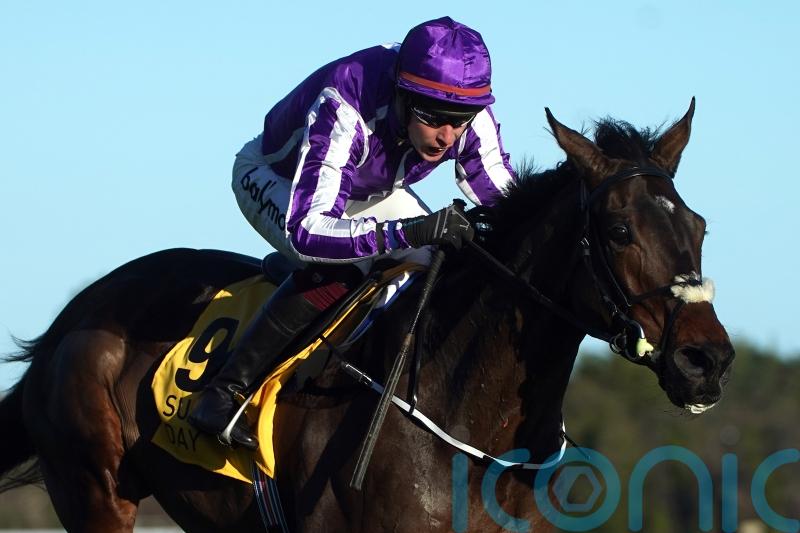 High Definition still in the frame for Cheltenham, despite weekend blip