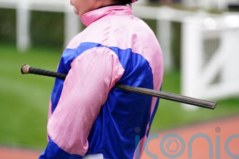 Penalty calculation tweaked ahead of whip rules introduction