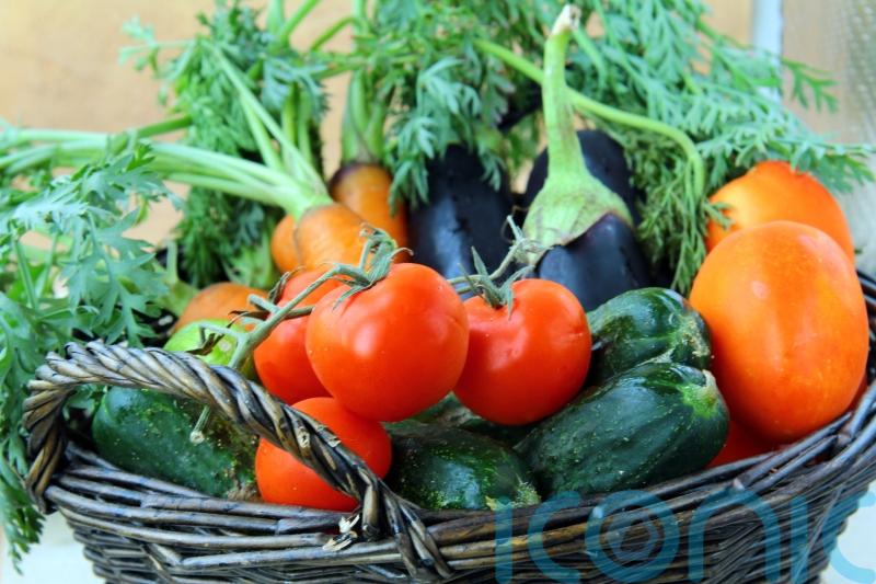Veg to grow in hot summers and cold winters