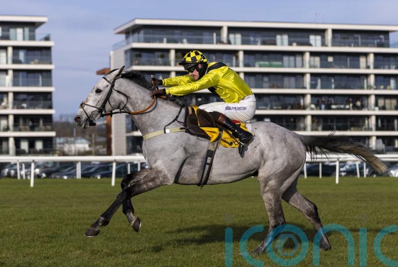 Eldorado Allen will go for Cheltenham gold, with line put through Newbury