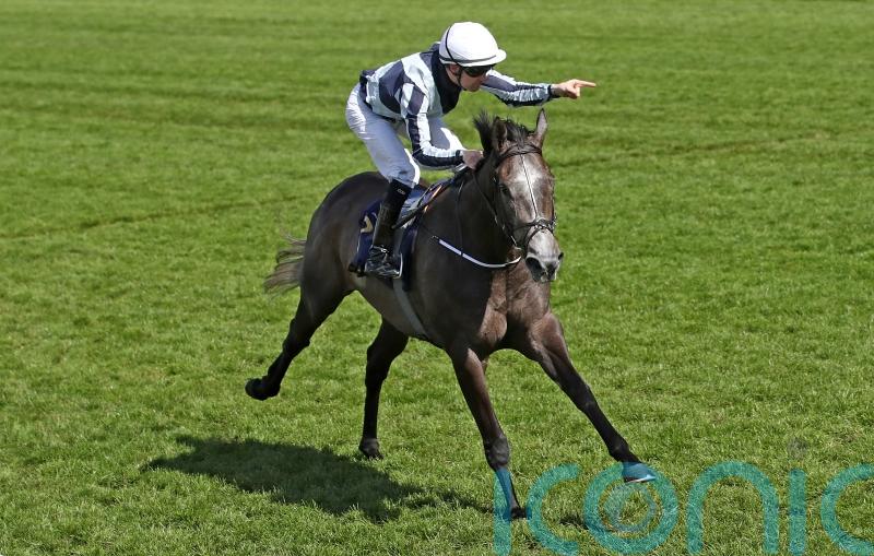 Niarchos family put renowned stud on the market