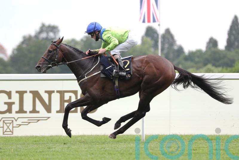 Subjectivist primed for high-profile Saudi return