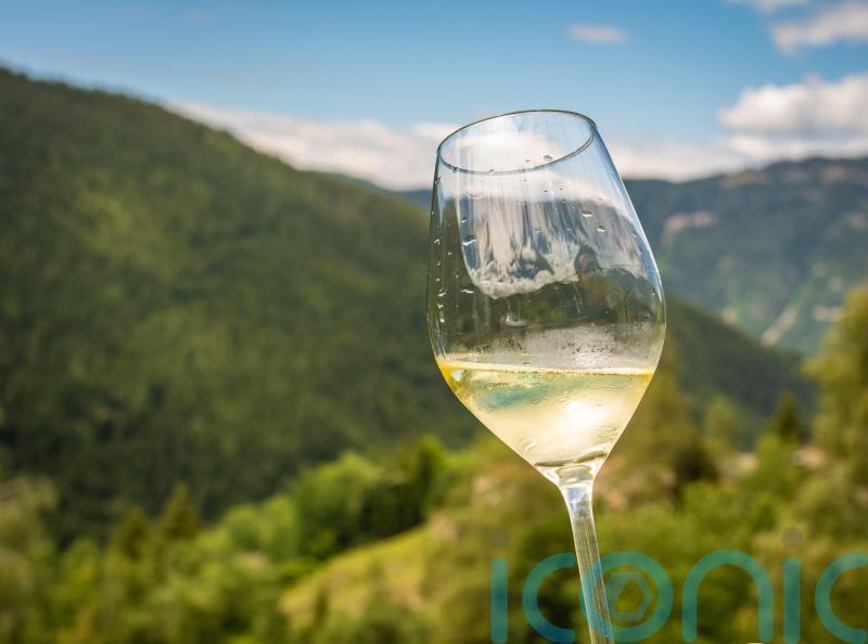 Kick off spring with 6 stunning sauvignon blancs