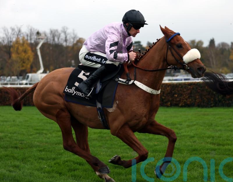 Maximilian team to skip Festival date in favour of Aintree