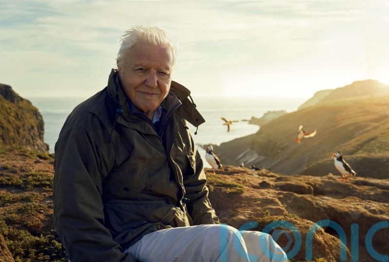 Have an Attenborough experience on your doorstep at these wildlife locations