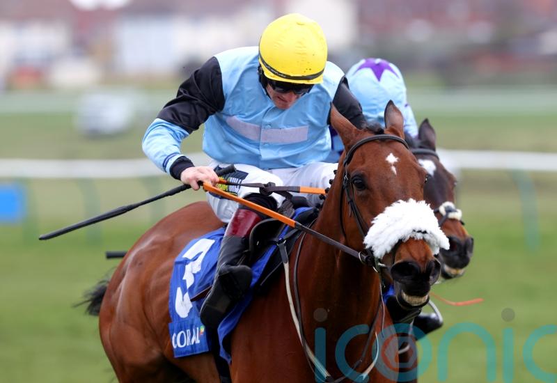 Mulholland sweet on Milkwood’s County chance
