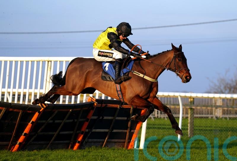 Aucunrisque to stick to hurdles at Cheltenham