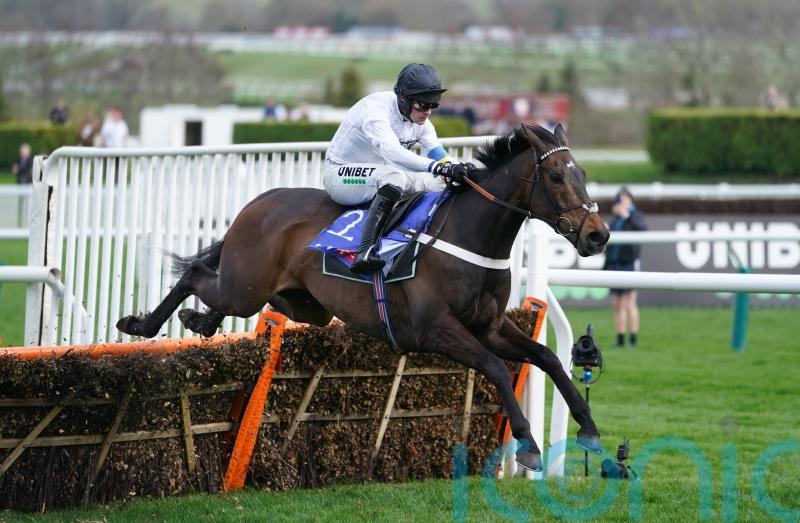 Constitution Hill ready to peak in Champion Hurdle assignment
