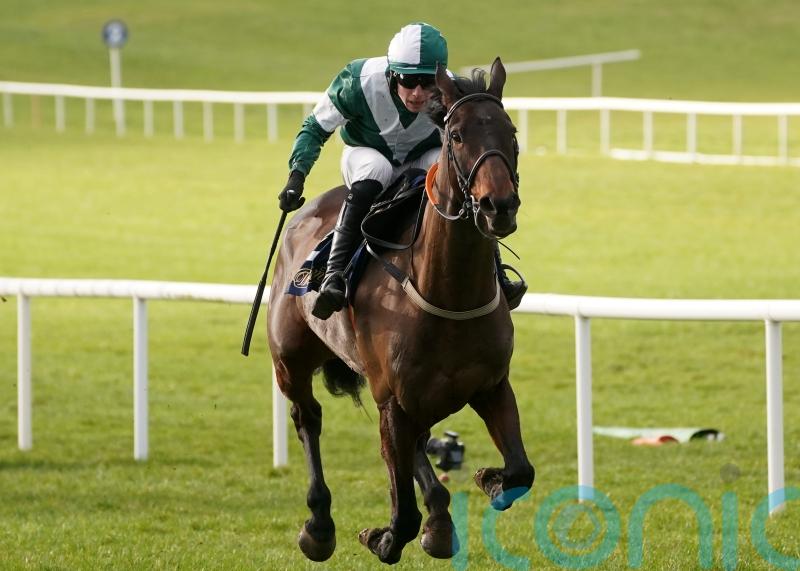 Blazing Khal steps up for Stayers’ task after troubled prep