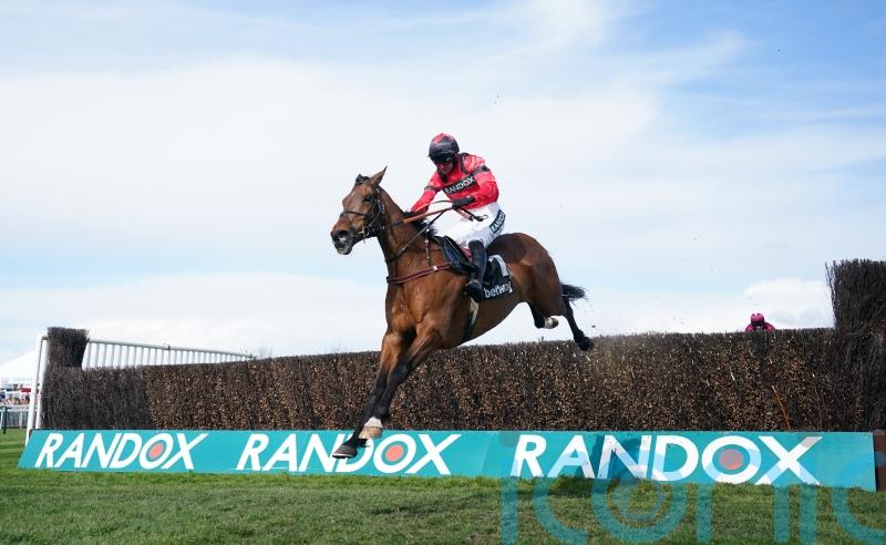Ahoy Senor heading to Aintree if all goes to plan