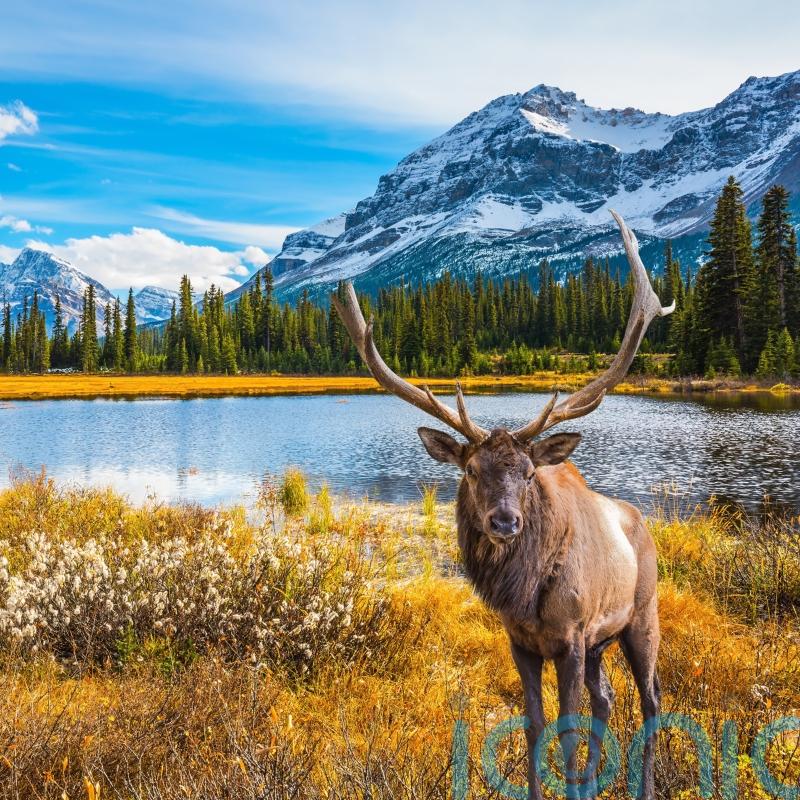 Enjoy your own Race Across The World in Canada