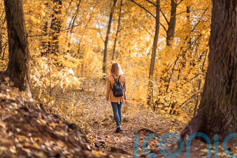 Third of young people ‘very worried’ about climate change
