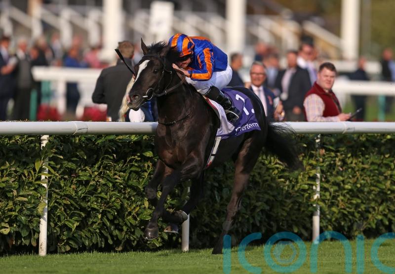 Auguste Rodin set to stretch his legs after racing at the Curragh
