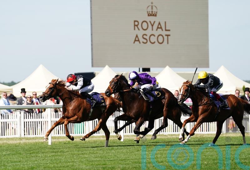 Aidan O’Brien raises Kyprios Gold Cup doubts